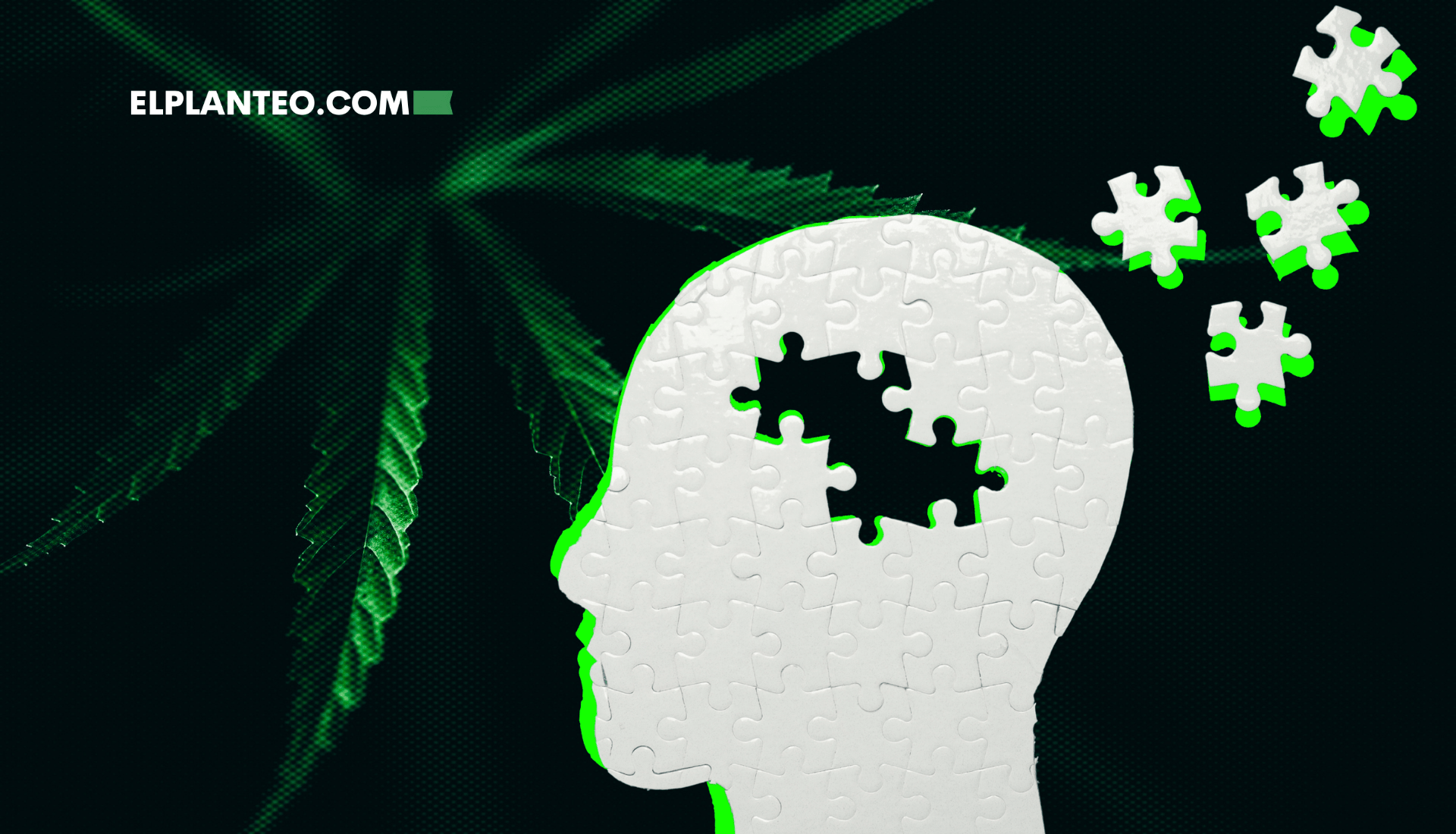 ¿El CBD Puede Frenar el Alzheimer? Un Nuevo Estudio Sugiere que Sí