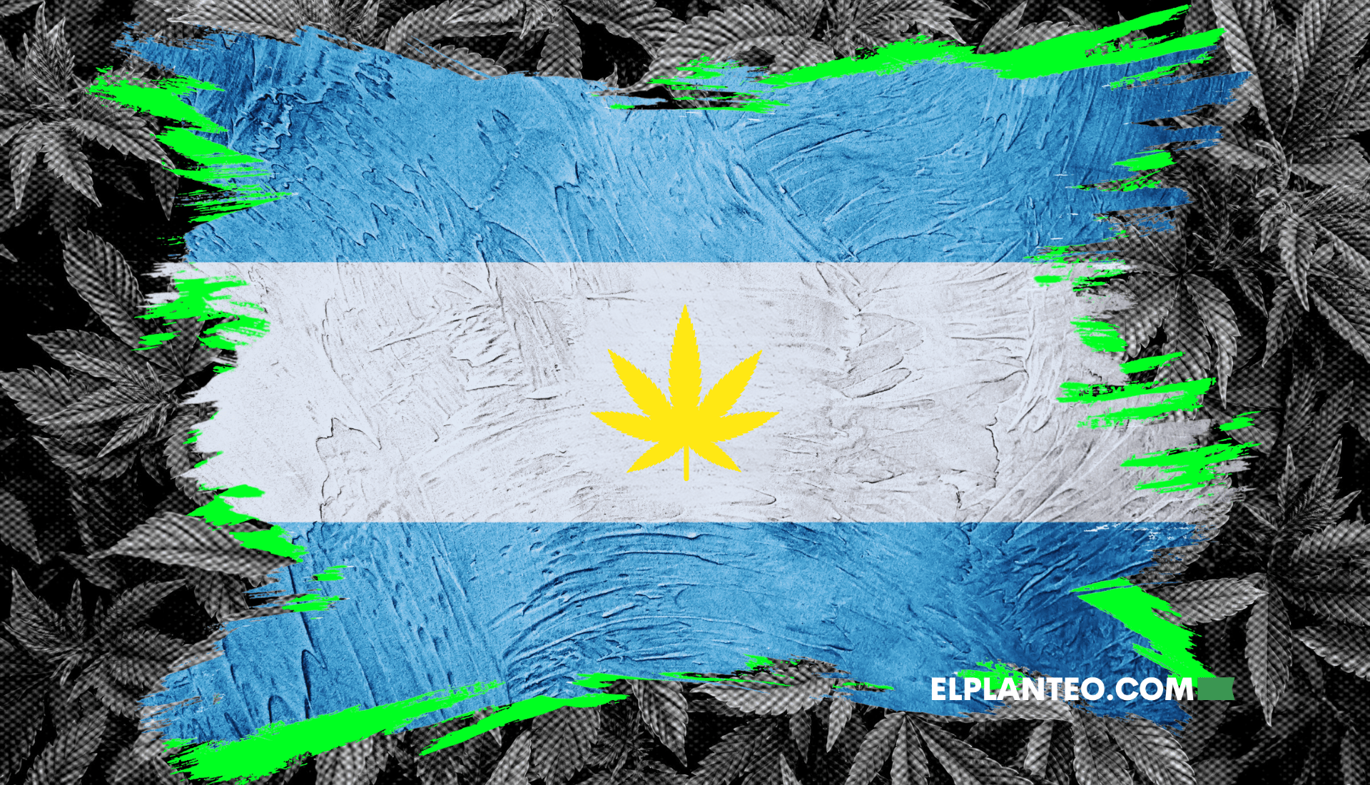 La Paradoja del Cannabis en Argentina: Acceso Primero, Mercado Después