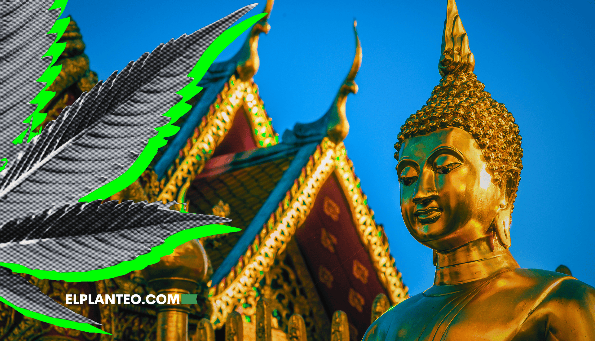 De la Revolución a la Prohibición: Tailandia Pondrá Fin al Cannabis Recreativo Tras Liderar el Boom Asiático