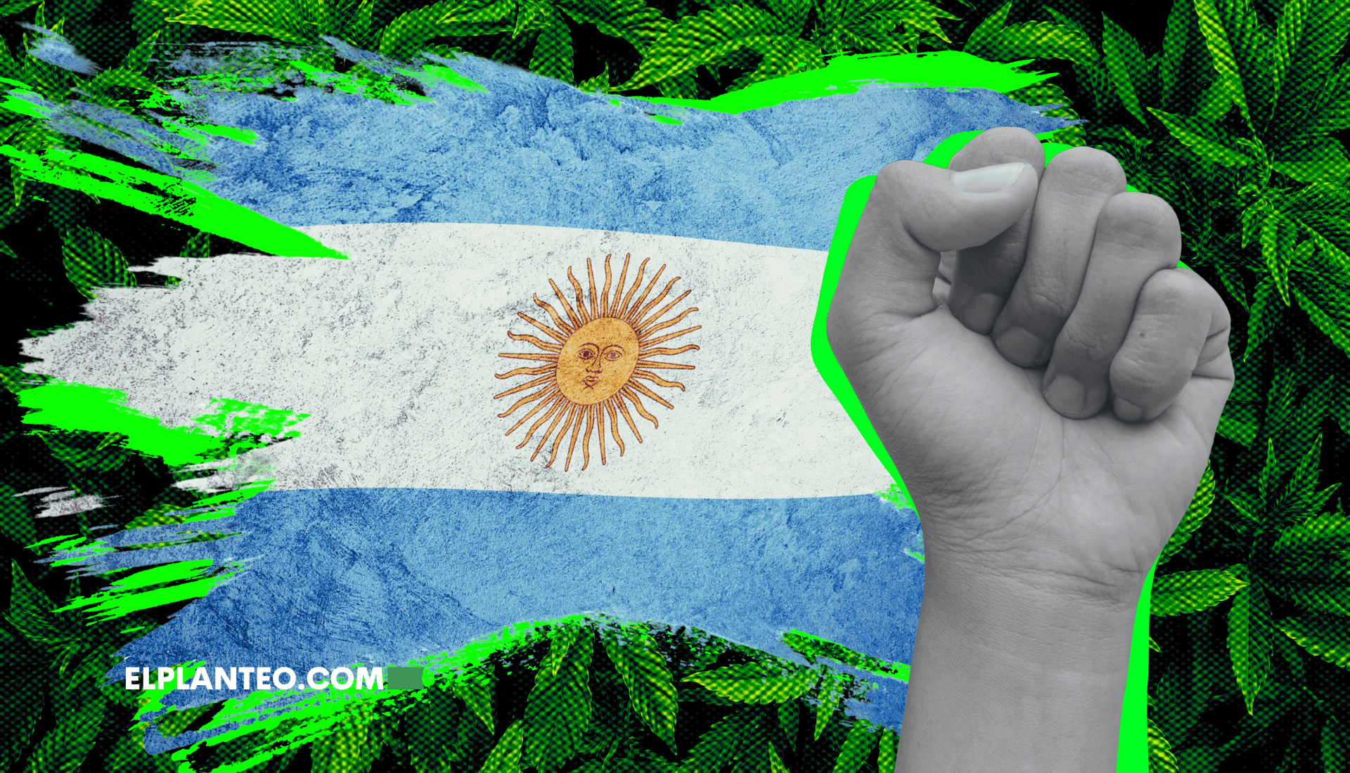 Todo Sobre el Proyecto de Ley de la Izquierda para Legalizar la Marihuana en Argentina
