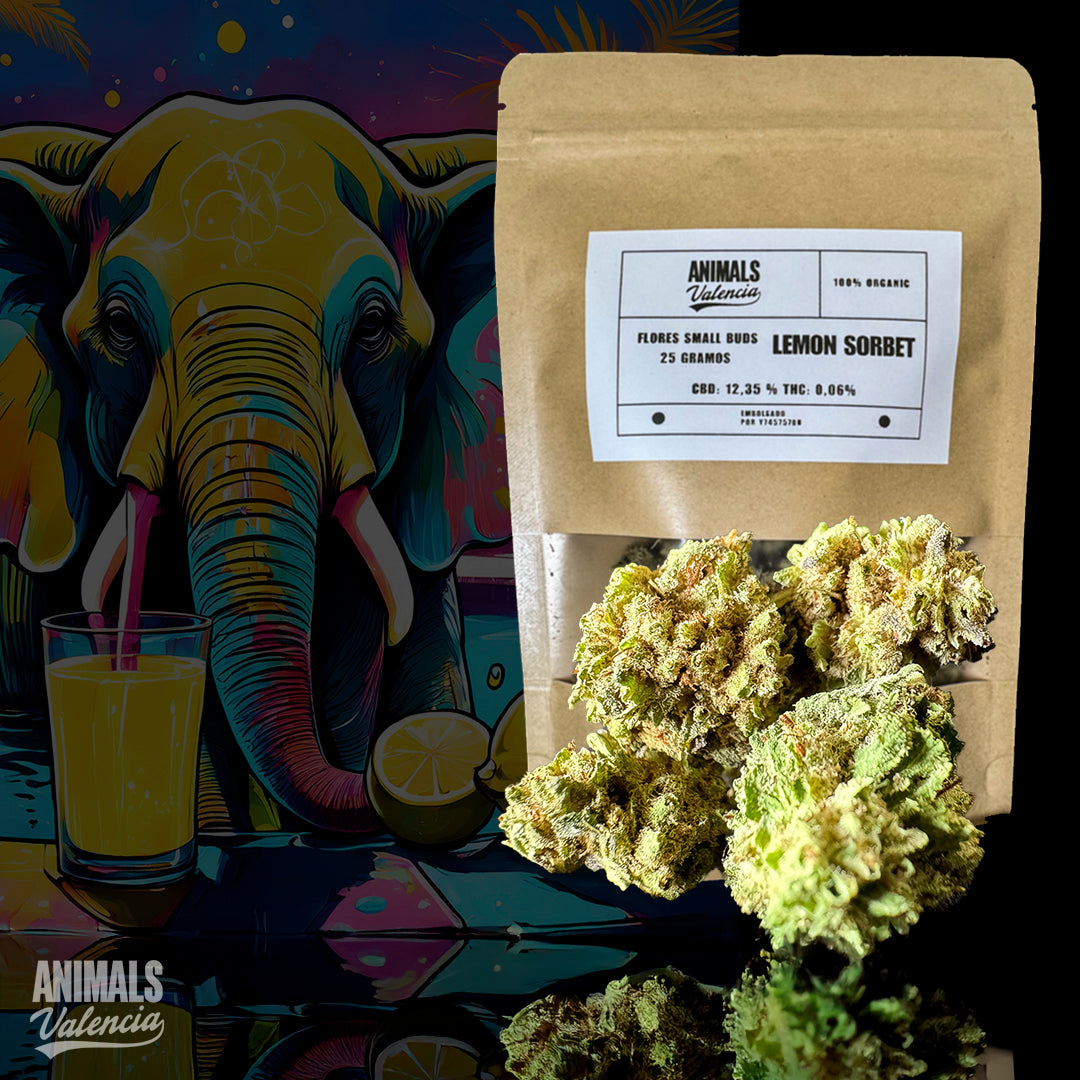 Cogollos Pequeños de Flor Aromática GreenHouse Lemon Sorbet 12% CBD